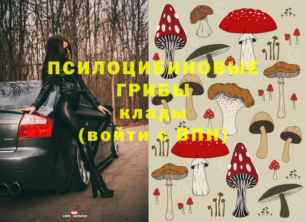 МДПВ Волоколамск
