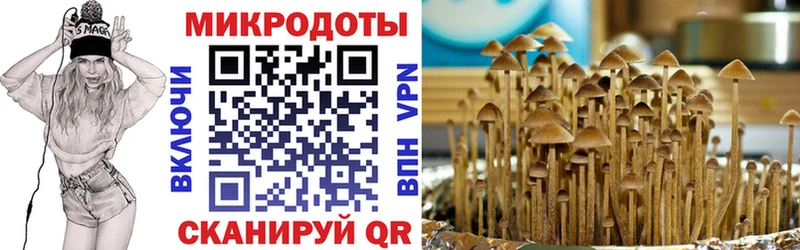Галлюциногенные грибы Cubensis  Калуга 