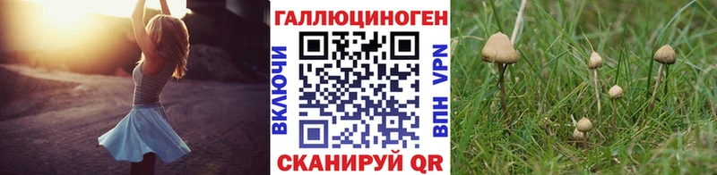 Псилоцибиновые грибы MAGIC MUSHROOMS Калуга